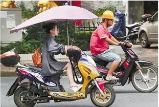 家电下乡政策下的电动车品牌崛起