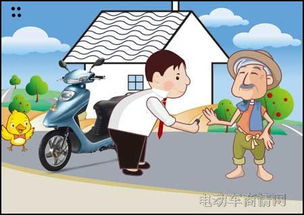 家电下乡政策下的电动车品牌崛起