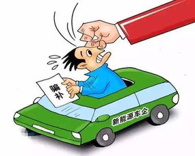 家电下乡政策下的电动车品牌崛起