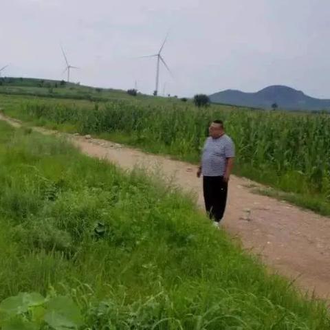 揭秘微信聊天记录实时监控，如何做到不露痕迹？