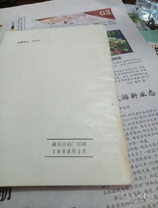 怎么致富？这些门路或许能给你启示—结合实例详解