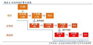 闲置房做什么项目赚钱？多元化利用策略与成功案例解析