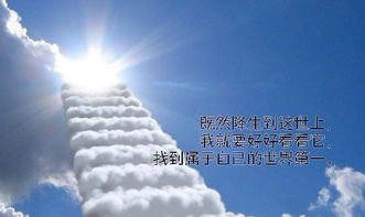 朴宿民宿加盟之路，一步步带你走向成功