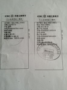 羊小咩便荔卡套使用指南，注意事项全解析