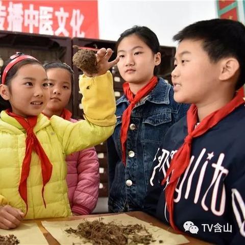 探索传统中医药的现代魅力