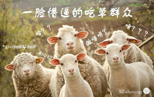 羊小咩便荔卡提现，笑出声来还能赚钱！