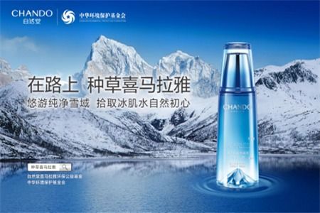 打造化妆品连锁王国—多品牌战略的制胜之道