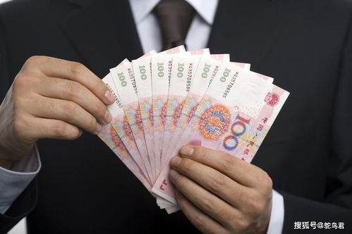 农村过年前做什么生意赚钱？这些实用建议助您把握商机赚大钱！