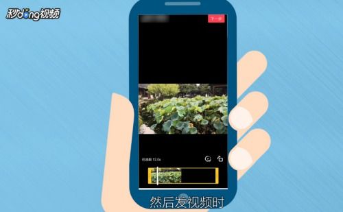 揭秘抖音月付提现，轻松赚钱的POS机神器！