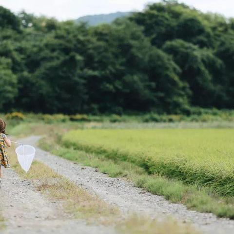 日本品牌平板电脑深度解析