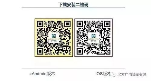 揭秘微信分付二维码连刷提现技巧，轻松操作，安全提现！