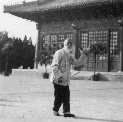 揭秘羊小咩便荔卡套出来的人，那些隐藏在羊群中的荔卡高手