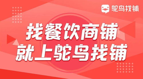 餐饮连锁加盟公司如何盈利，深度解析与案例分享