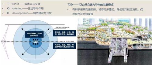 连云港智慧管廊招标网站，助力城市建设，透明公开的新平台