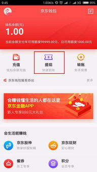京东白条提现攻略，轻松操作，资金到账不是梦！