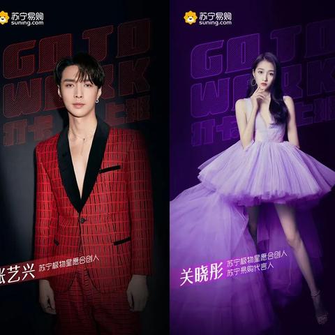 加盟苏宁，共创未来—深度解析加盟苏宁的利弊与体验