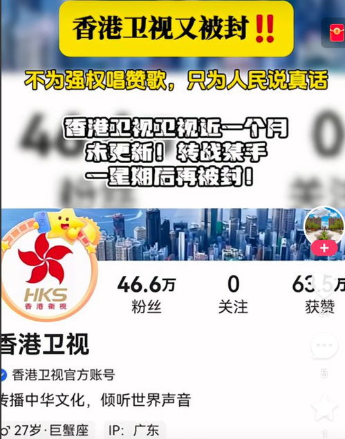 羊小咩便荔卡套出来的号，揭秘网络社交背后的秘密