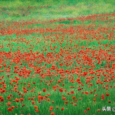 户外品牌中的两个c策略