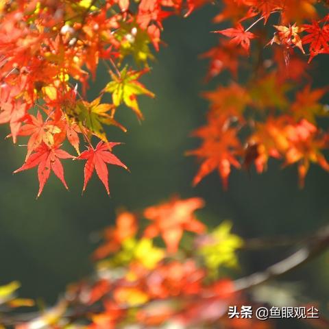 户外品牌中的两个c策略
