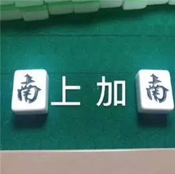 揭秘抖音月付提现那些事儿，手续费揭秘及避坑指南