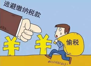 揭秘帮忙白条提现背后的秘密与风险