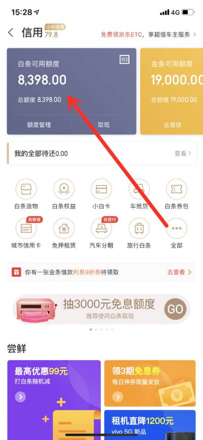 轻松搞定帮忙白条套出来，揭秘白条套现全攻略