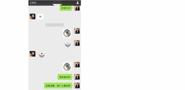 揭秘微信聊天语音记录查询，方法、技巧与注意事项