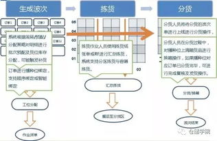 羊小咩便荔卡套出来出库后打款，揭秘电商物流背后的高效流程