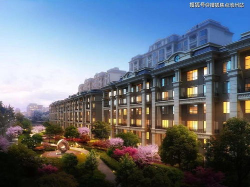 转转分期套出来10个点是多少钱，深度解析与案例阐述