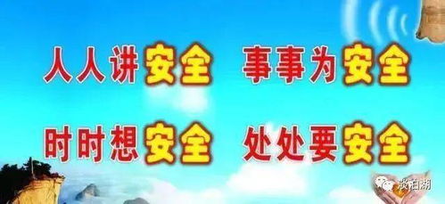 羊小咩便荔卡套出来出库安全吗？揭秘出库安全那些事儿！