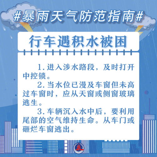 羊小咩便荔卡套出来出库安全吗？揭秘出库安全那些事儿！