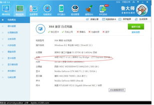 如何查看电脑显卡品牌