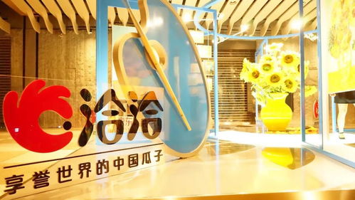 户外品牌陈列艺术，视觉冲击与品牌传达