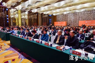 中医药品牌大会，传承与创新的交响曲