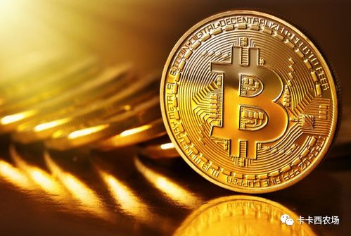 羊小咩便荔卡套出来不成—揭秘信用卡套现背后的风险与后果