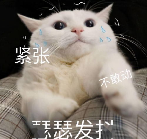 羊小咩便荔卡提现好处多多，快来了解一下！