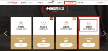 揭秘京东白条提现攻略，帮别人提现可行吗？详解操作与注意事项