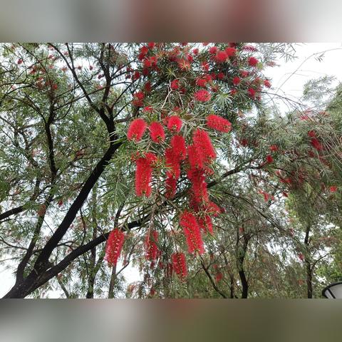 带娃创业，这些生意赚钱又兼顾家庭
