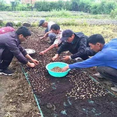 农村致富项目，上网找信息哪里最靠谱？
