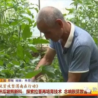 农村致富项目，上网找信息哪里最靠谱？
