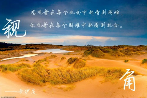 废弃矿场的重生之道，探索赚钱新机遇
