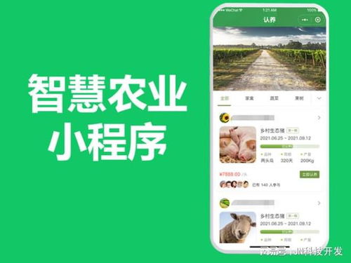 羊小咩便荔卡套出来案例，揭秘信用卡套现背后的故事