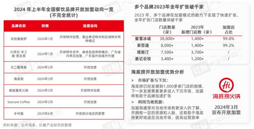 餐饮品牌招商账号管理全攻略