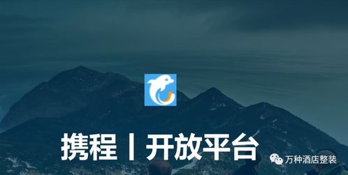 广西种植什么致富项目最靠谱？深度解析及案例分享