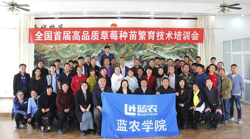 邵阳餐饮创业培训基地全解析，热门基地、成功案例与启示