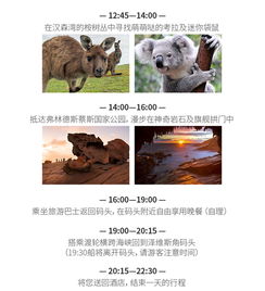 羊小咩便荔卡套出来阿灿，一场关于创新与挑战的奇妙之旅