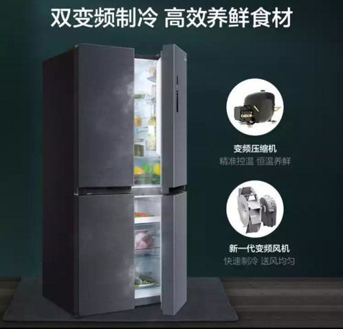 海尔冰箱，家电品牌选择指南