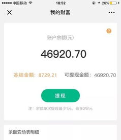 付呗白条提现攻略，揭秘你的钱怎么轻松到账