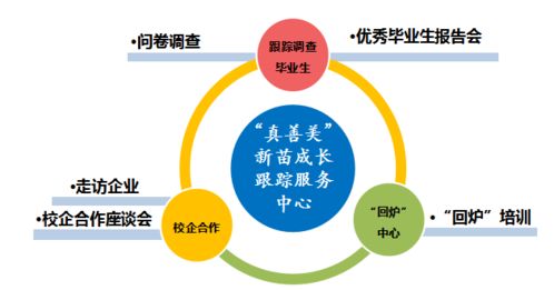 打造艺术餐饮品牌，从理念到实践的全方位指南