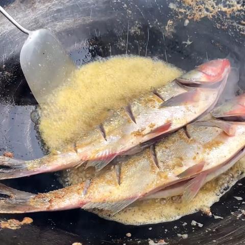 孕妇饮食安全指南，精选餐饮品牌与案例分析
